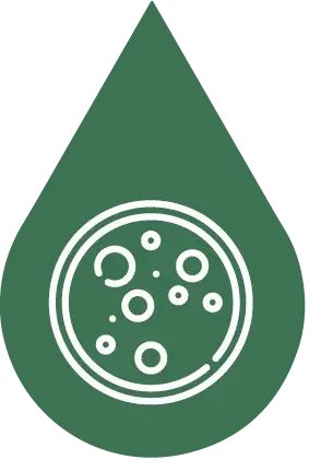 Innovación en cultivos especializados